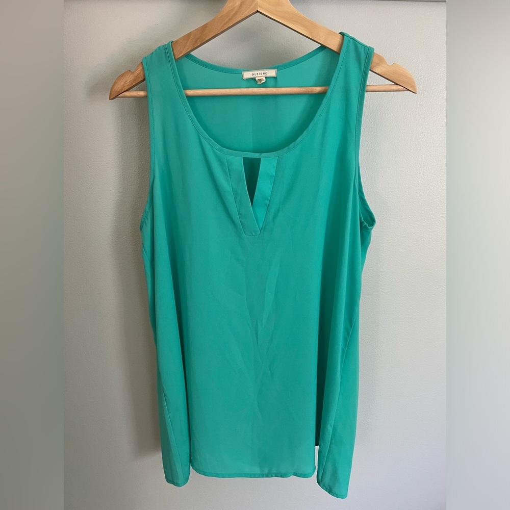 Pleione Teal SS blouse